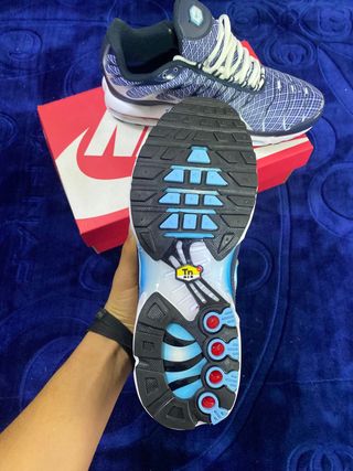 Nike TN Azul y Blanco