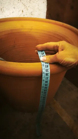 Maceta grande de barro y otra de plástico + pequeñ