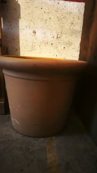 Maceta grande de barro y otra de plástico + pequeñ