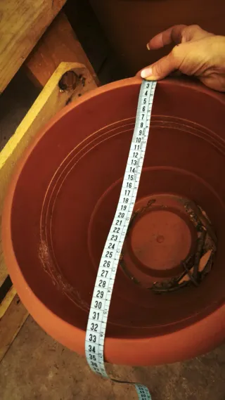 Maceta grande de barro y otra de plástico + pequeñ