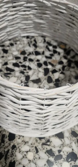 Pie de árbol blanco mimbre