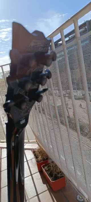 ESP LTD EC Flat Top Guitarra Eléctrica