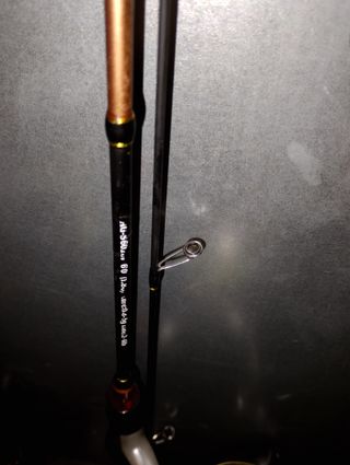 Caña de pescar Eging