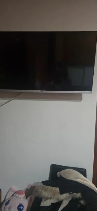 Televisor TD Systems Negro