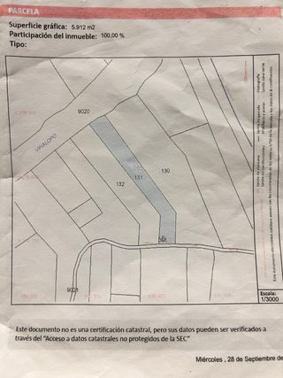 terreno rustico con olivos y casica