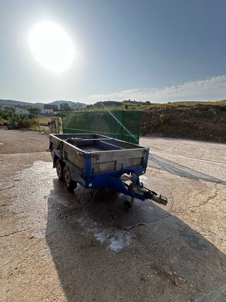 Carro remolque Teymo matriculado