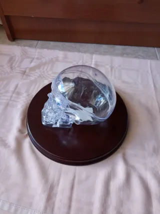 Peana redonda, realza lo que pongas encima.