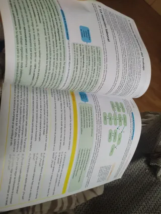 Libro Formacion y Orientacion Laboral