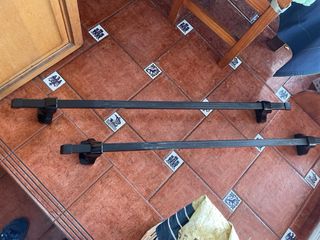 Vacas para coche Terzo