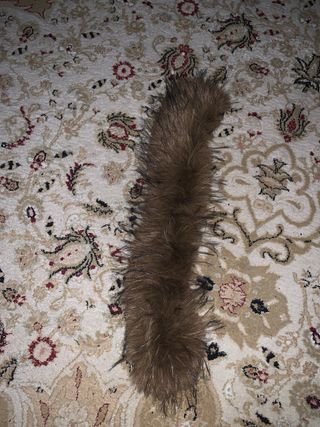 Parka Canada Goose Negra