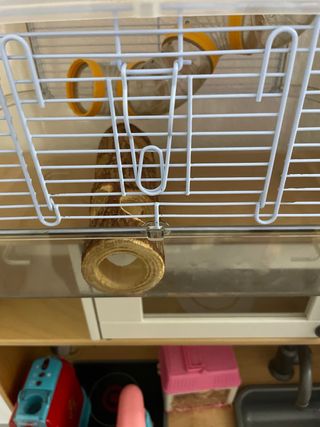 Gabbia criceti 3 piani gialla