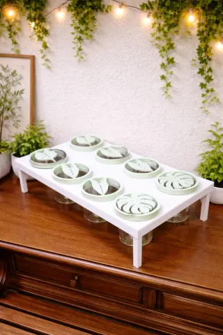 Tapas/arandelas para criar cormos