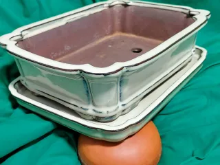 Maceta bonsai retro cerámica beige/marrón