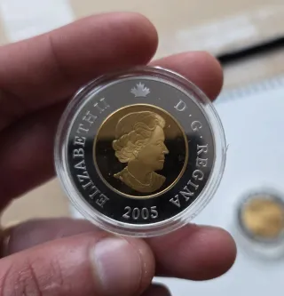 2 once d'argento da 8 dollari canadesi del 2005