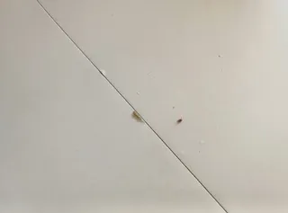 Mesa redonda blanca y 4 sillas IKEA