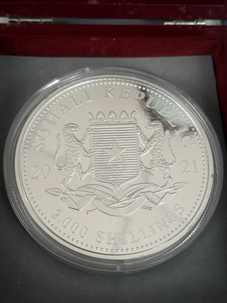 Moneda Kilo Plata African Wildlife Leopard