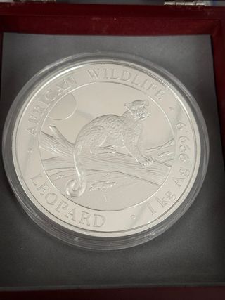 Moneda Kilo Plata African Wildlife Leopard