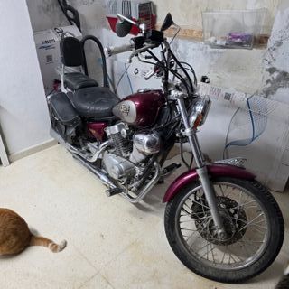 Yamaha Virago 250 Custom