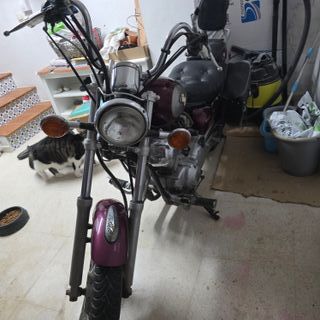 Yamaha Virago 250 Custom