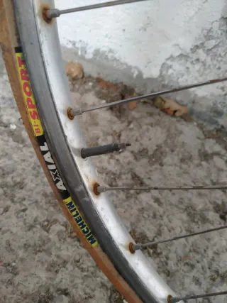 Bicicleta de Carrera Vintage Morada