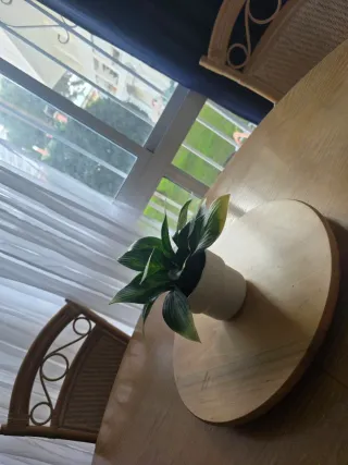 Comedor completo con sillas