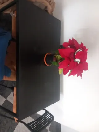 Tavolo da pranzo e 4 sedie Ikea