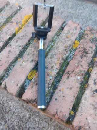 Palo selfie extensible