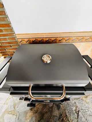 Barbacoa de gas para jardín