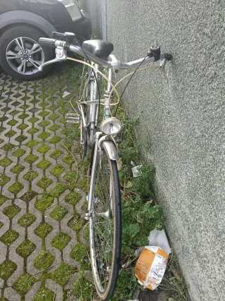 Bicicleta Orbea Luarca Plata