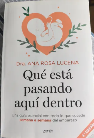 Dos Libros Embarazo Semana a Semana