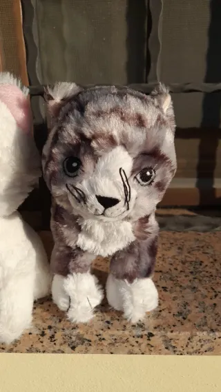 2 peluche gatti