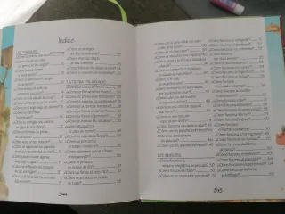 ¿Por qué, cómo, cuándo y dónde . . .? (El Duend...