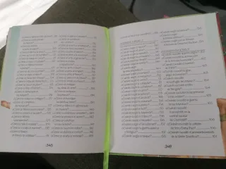 ¿Por qué, cómo, cuándo y dónde . . .? (El Duend...