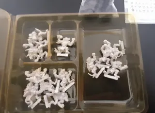 Blood Bowl Equipo Skaven