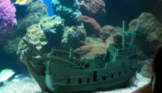 Decoración Naufragio Acuario Barco Pirata