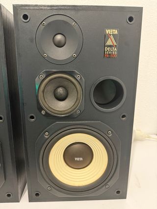 Equipo Hi-Fi Pioneer con Altavoces Vieta