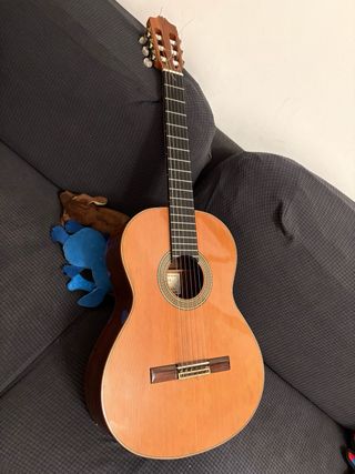 Guitarra Alhambra 10P con previo K&K