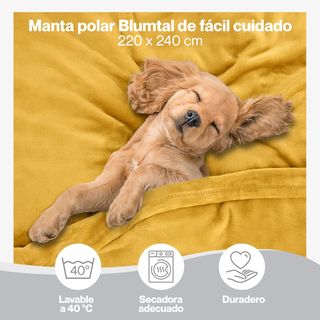 Blumtal Mantas para Sofá de Franela Suave y Acolch