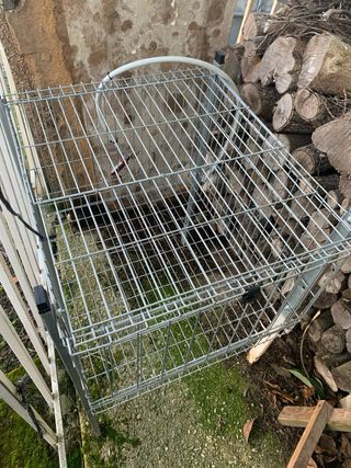 Jaula metálica para conejos