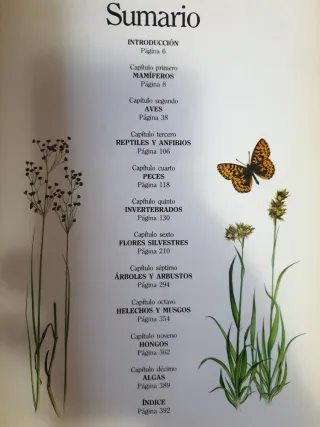 Fascinante naturaleza: el gran libro de los ani...