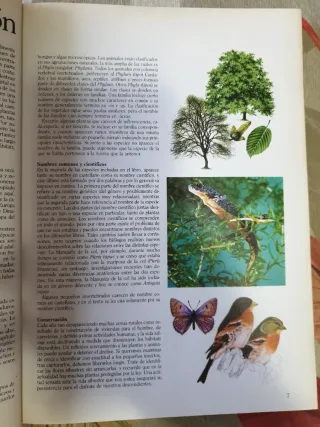 Fascinante naturaleza: el gran libro de los ani...