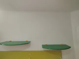 Scrivania e Scaffale Verde/Bianco