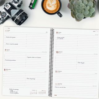 Finocam - Agenda Espiral Opaque 2025 1 Día Página