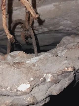 Busto antiguo terracota representante San Pedro