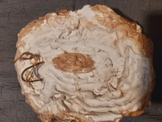 Busto antiguo terracota representante San Pedro