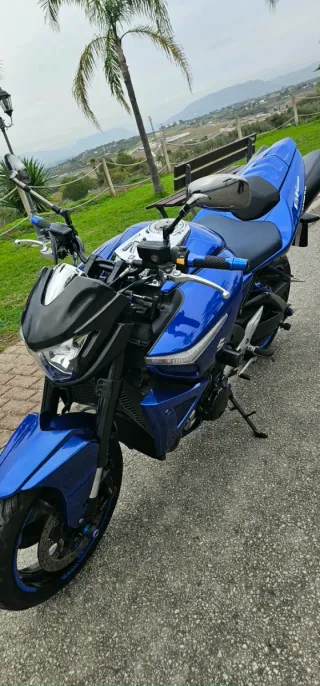 Suzuki B-King 1340