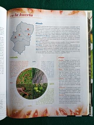 Cocina de la huerta aragonesa