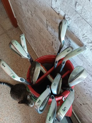 Set de Palos de Golf Spalding Rojo