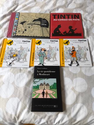 Mercadillo Tintin. Coleccionistas