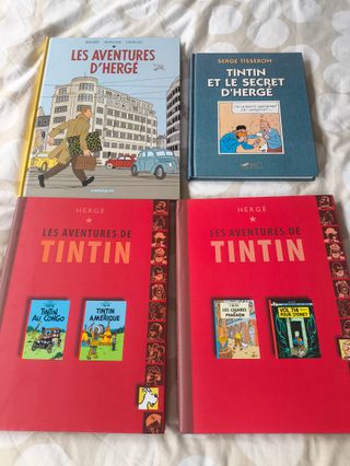 Mercadillo Tintin. Coleccionistas